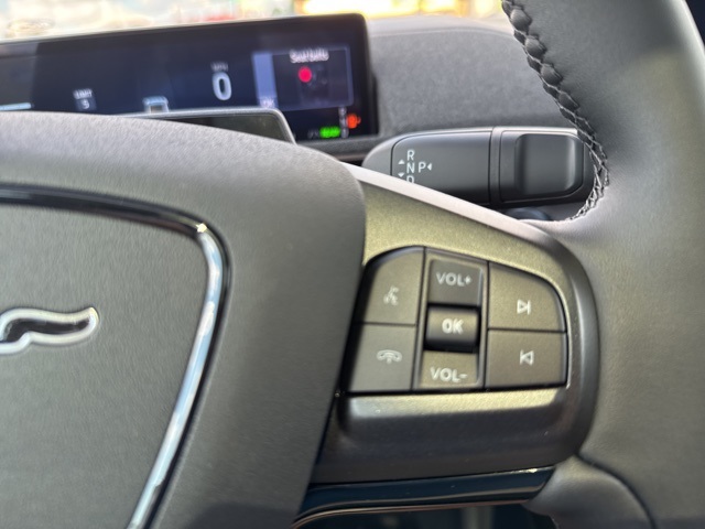 2025 Ford Mustang Mach-E Premium photo 33