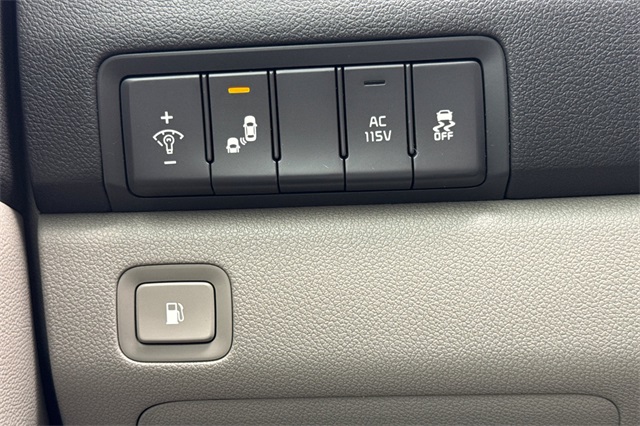 2015 Kia Sedona SX photo 33