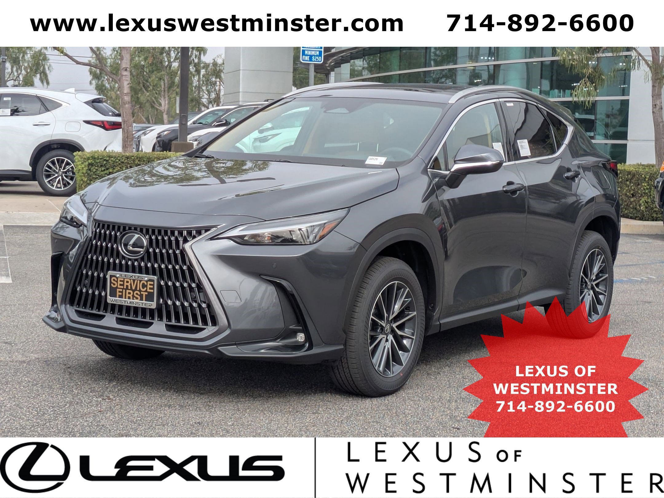 2026 Lexus NX 350's photo