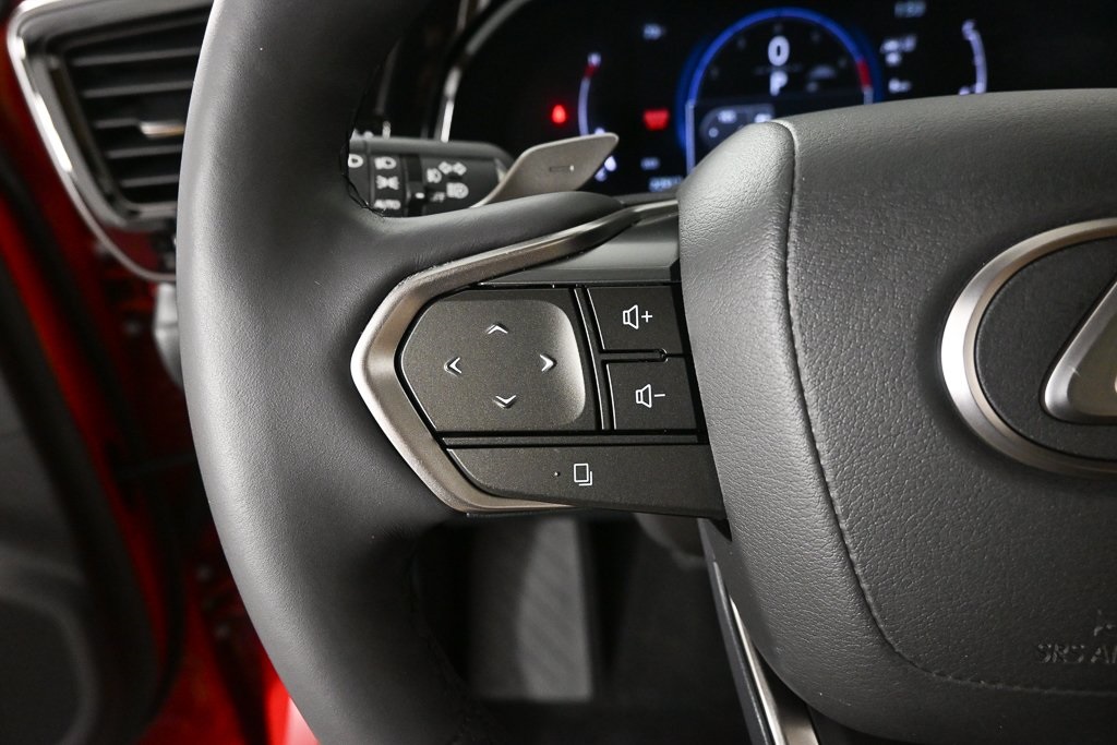 2024 Lexus NX 350 Luxury photo 9