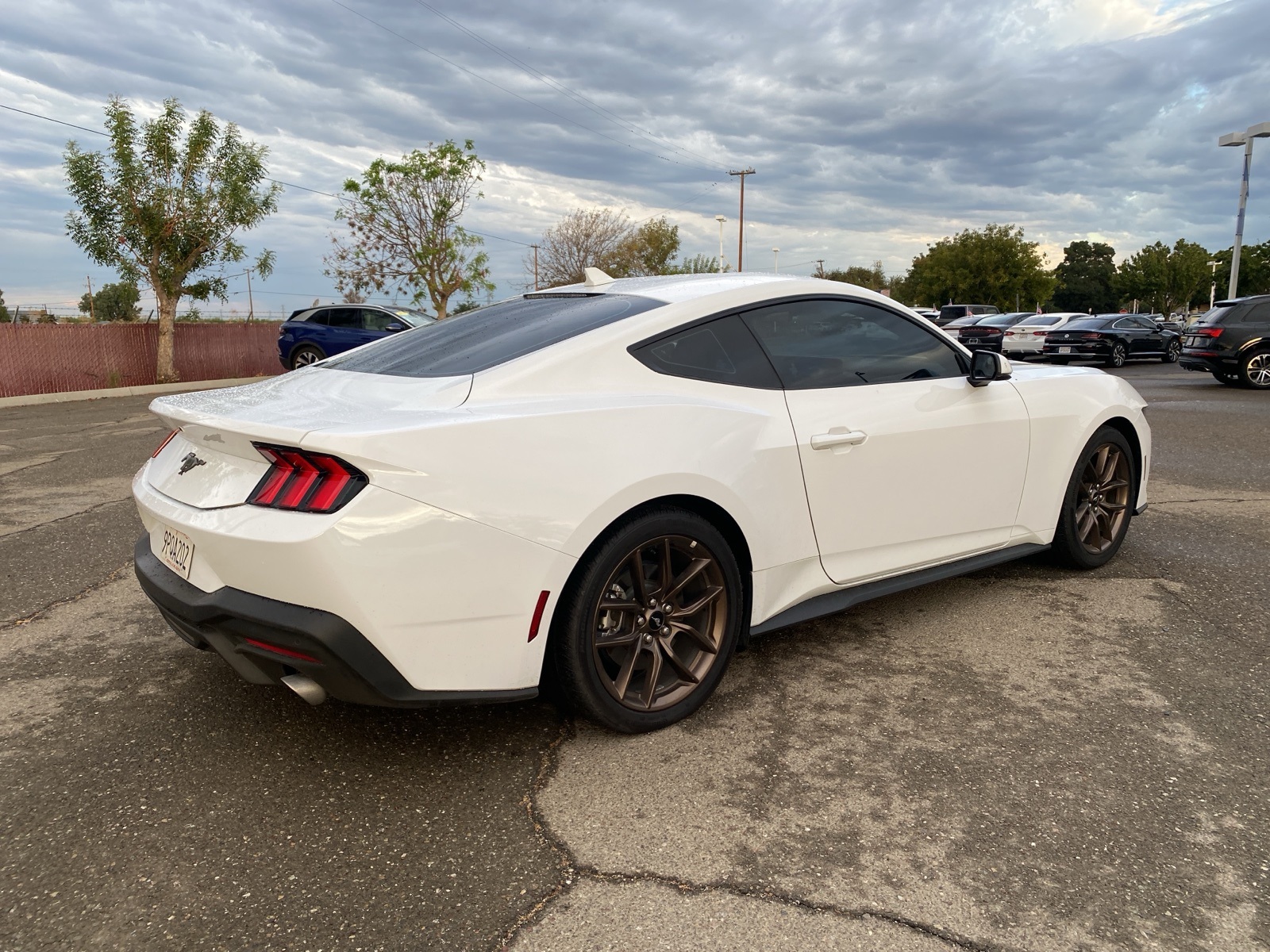 2024 Ford Mustang EcoBoost Premium photo 4