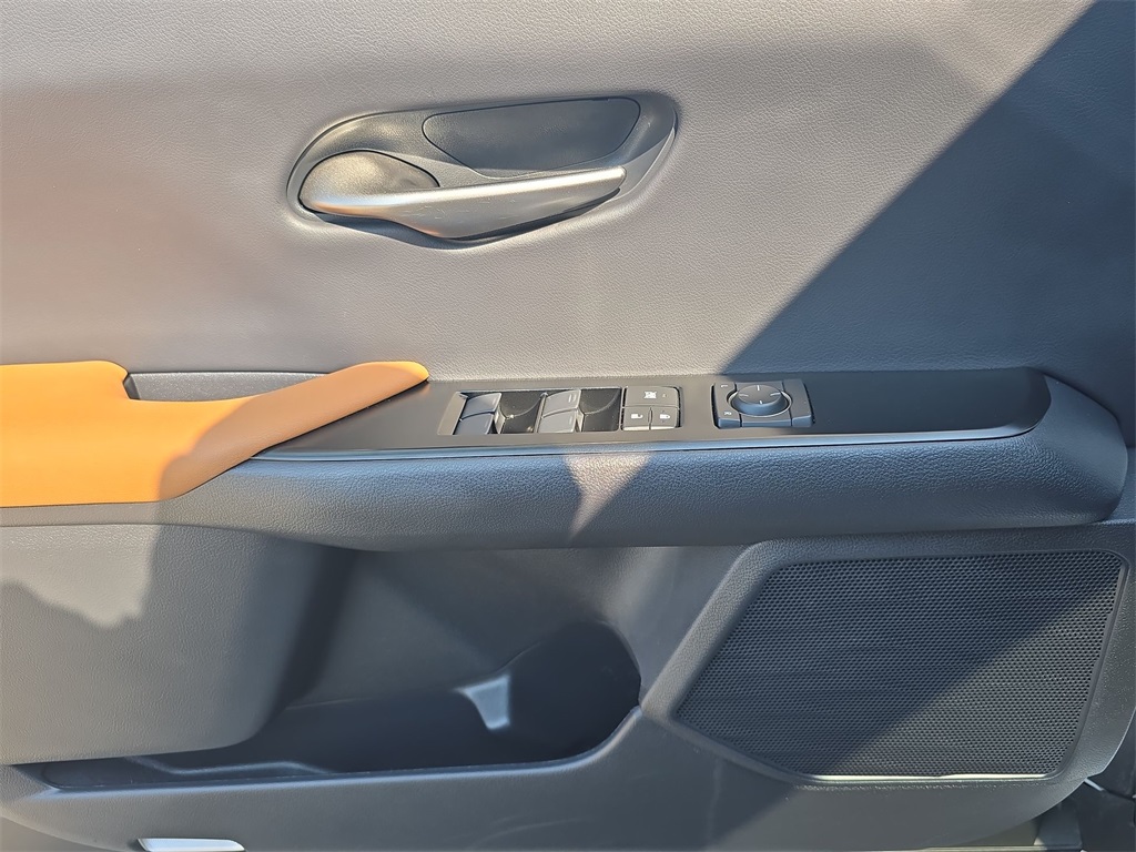 2022 Lexus UX 250h photo 19