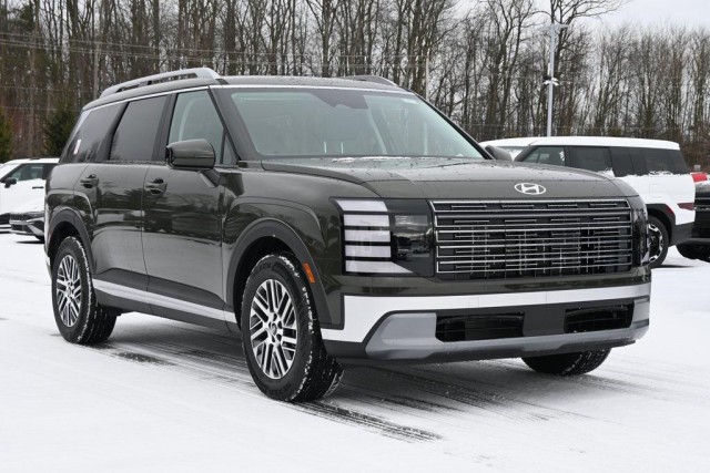 新政×BEAUPAYSAGE 新政×BEAUPAYSAGE