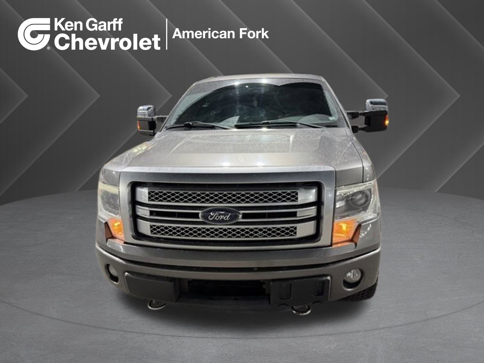 2013 Ford F-150 Platinum's photo