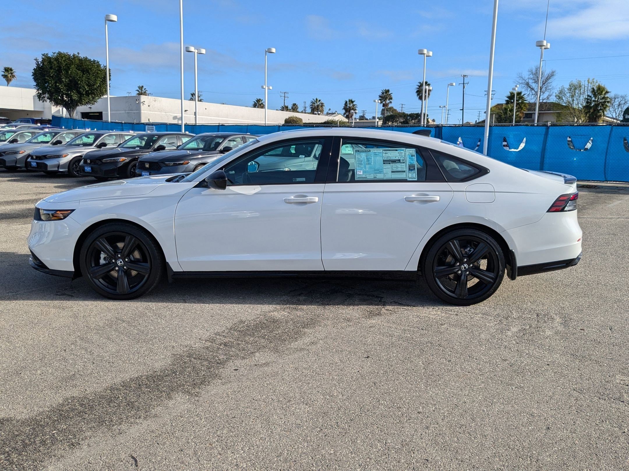 2025 Honda Accord Hybrid Sport-L photo 6