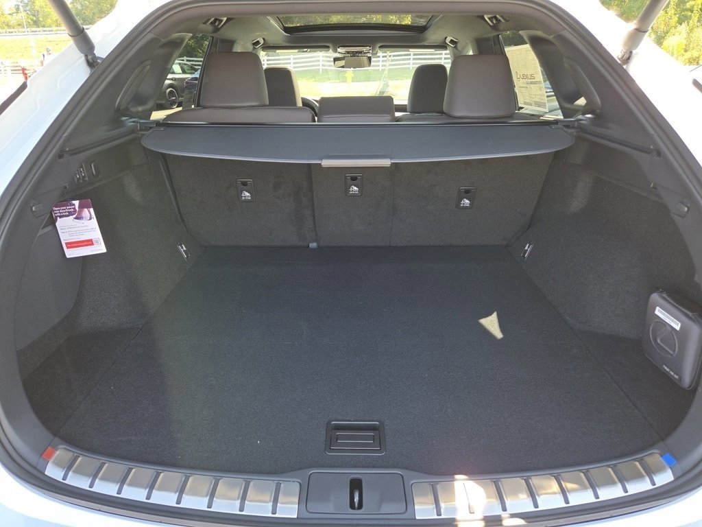 2025 Lexus RX 350h Luxury photo 27