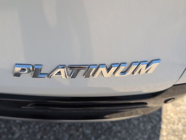 2025 Toyota Sienna Platinum photo 8