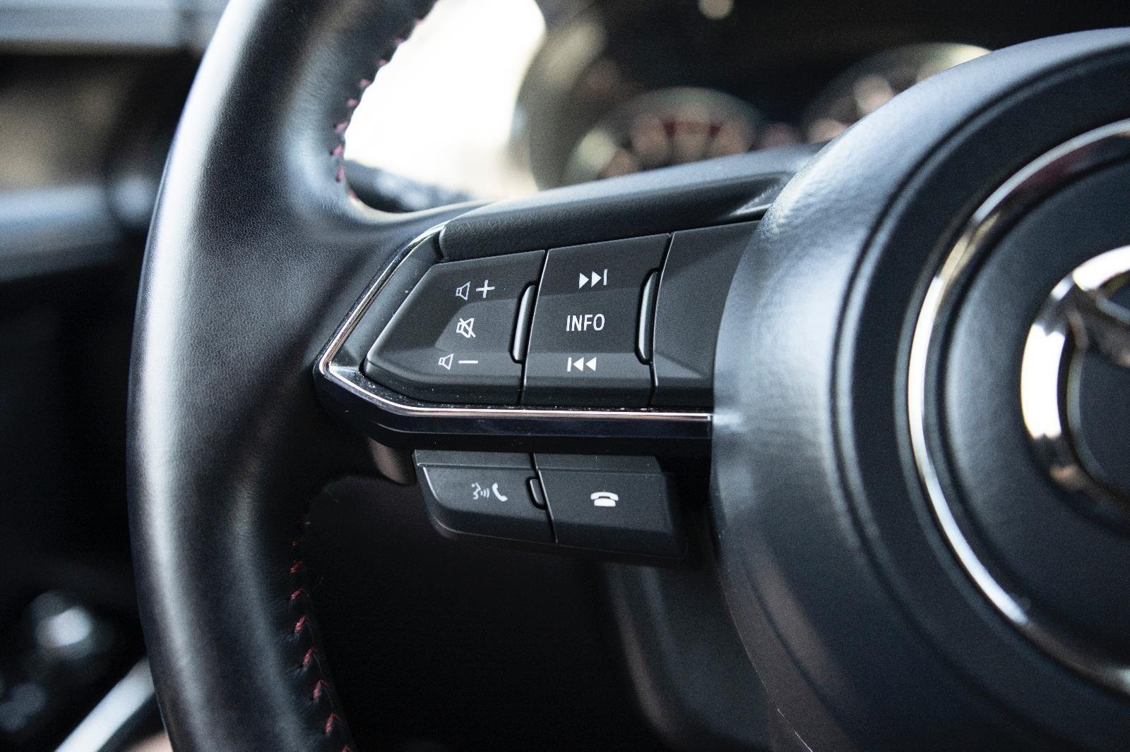 2023 Mazda CX-9 Carbon photo 5