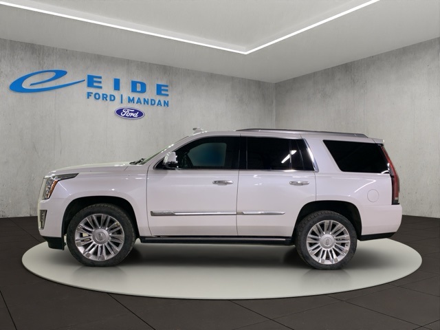 2016 Cadillac Escalade Platinum photo 3