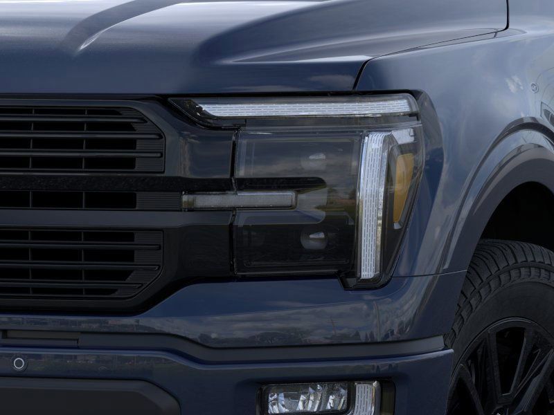 2025 Ford F-150 Platinum photo 17