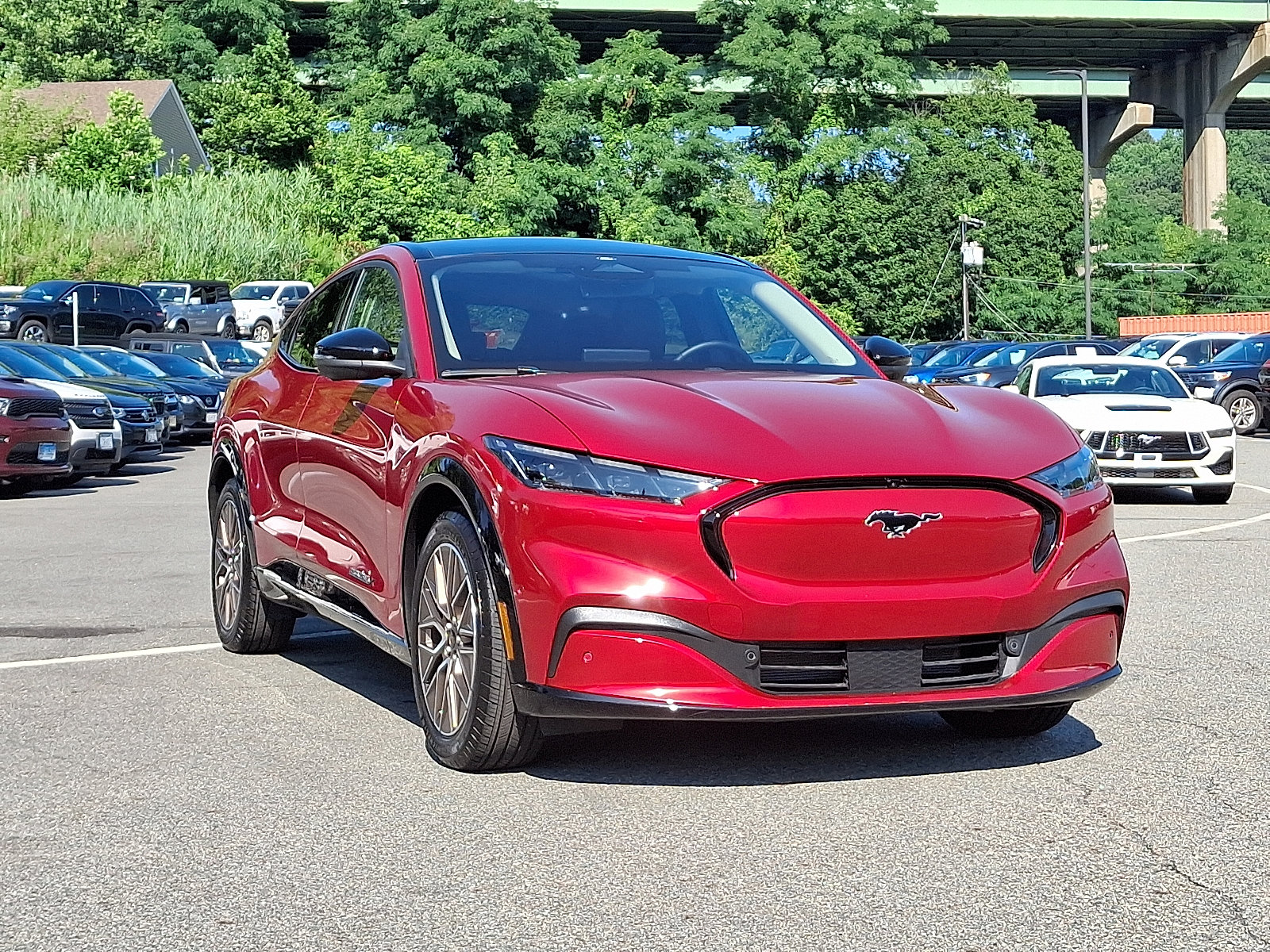 Certified 2024 Ford Mustang Mach-E Premium AWD with VIN 3FMTK3SU3RMA05966 for sale in Brewster, NY