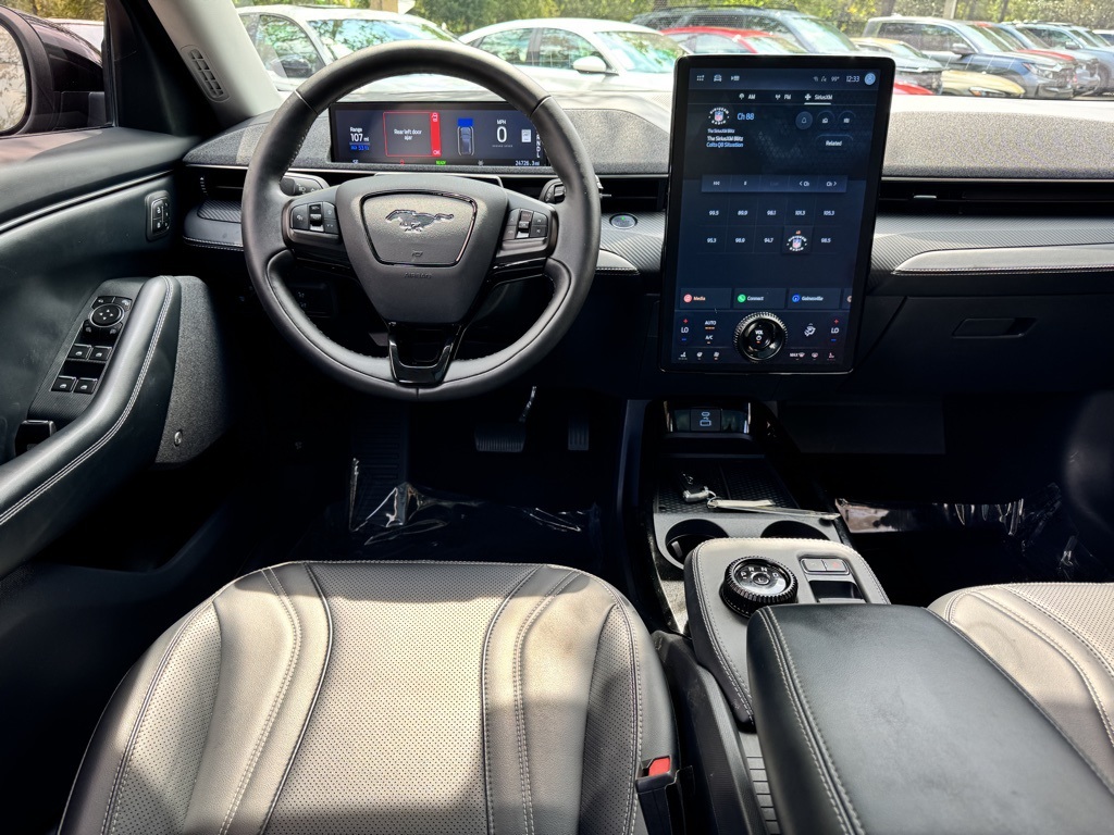 2021 Ford Mustang Mach-E Premium photo 13