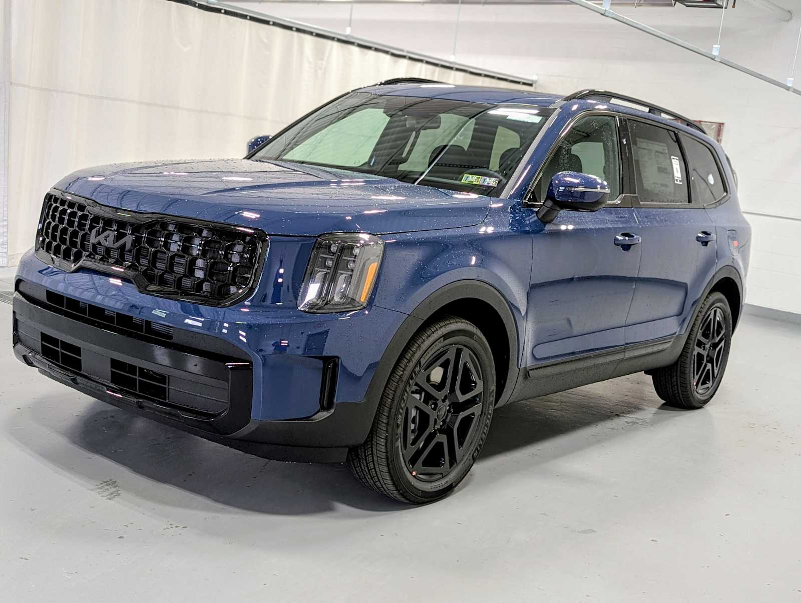 2025 Kia Telluride EX X-Line's photo