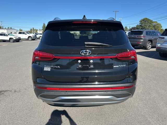 2023 Hyundai Santa Fe SEL Premium photo 4