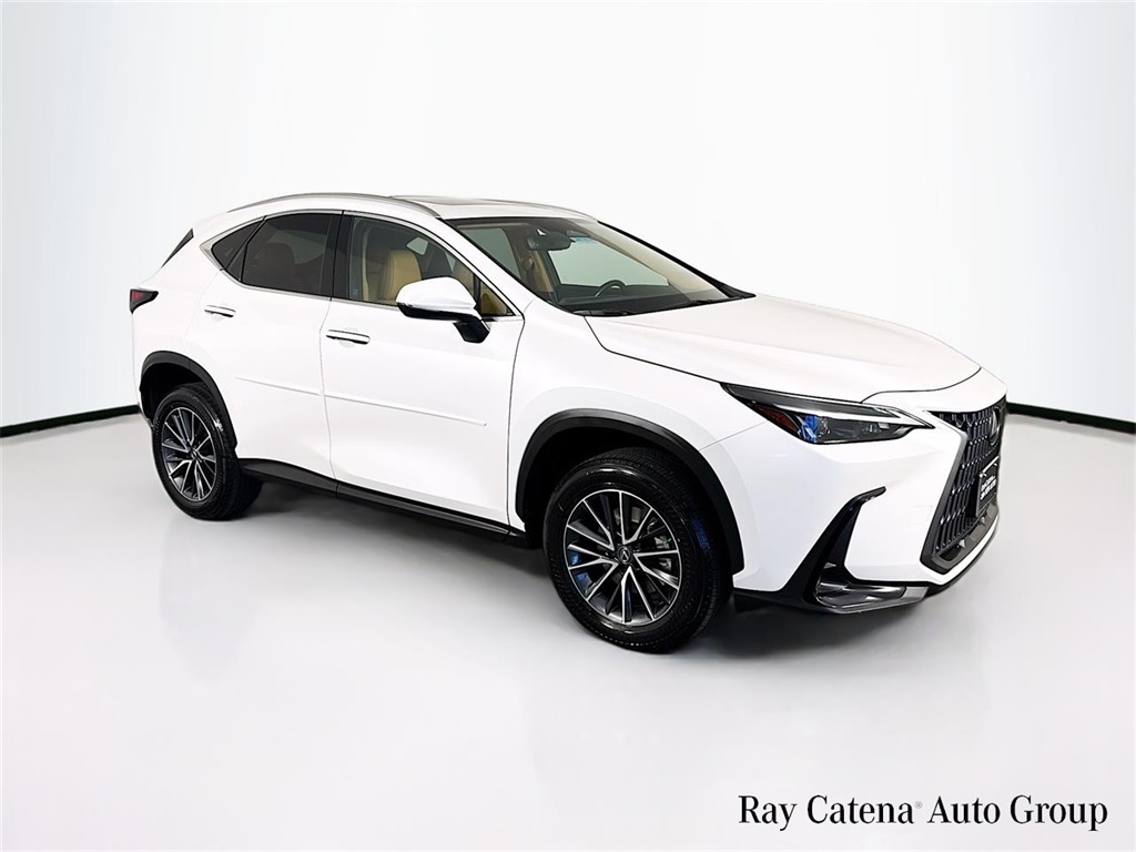 2022 Lexus NX Hybrid 350h's photo