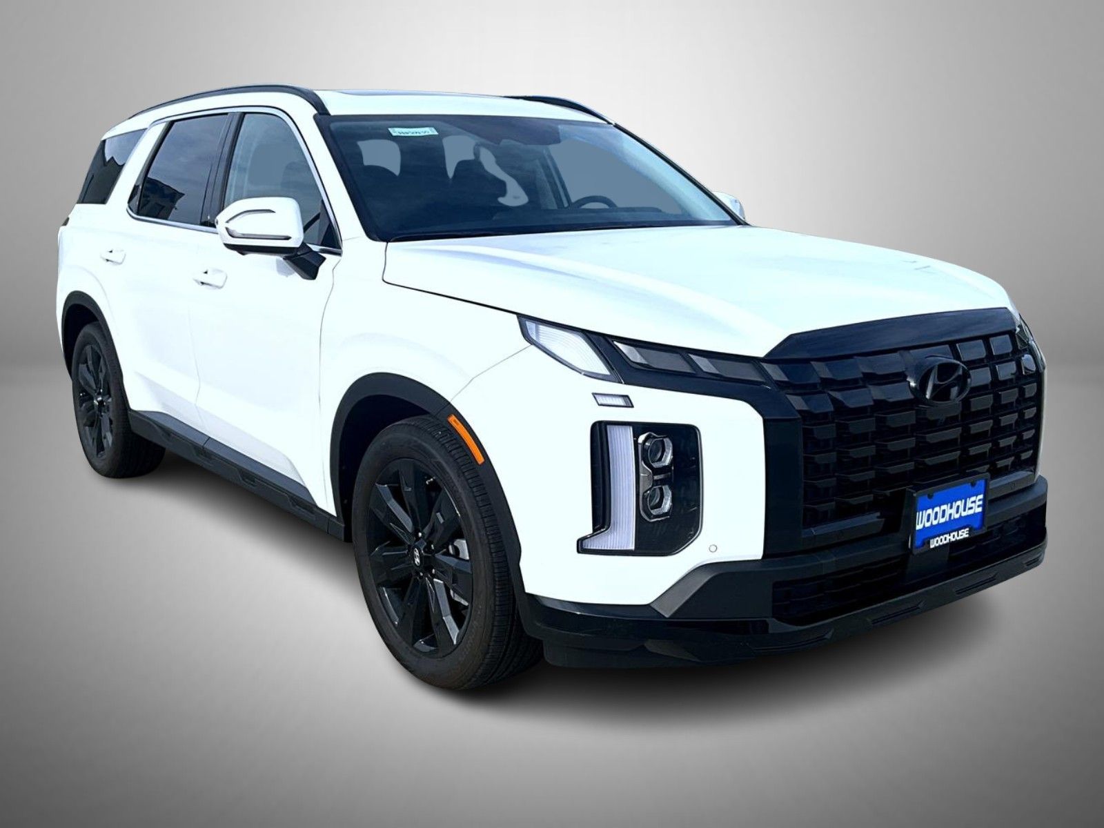 2025 Hyundai Palisade XRT photo 3