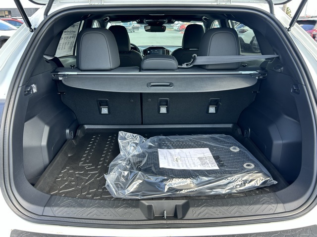 2025 Subaru Crosstrek Wilderness photo 5
