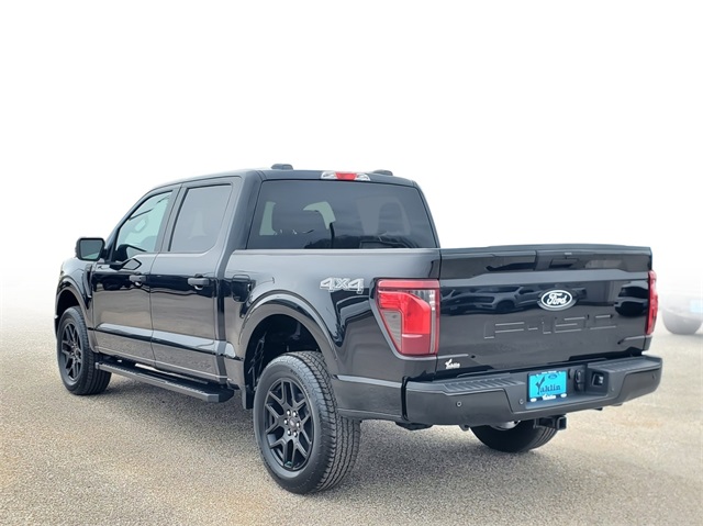 2025 Ford F-150 STX photo 3