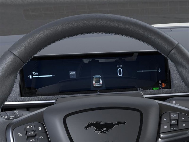 2025 Ford Mustang Mach-E GT photo 7