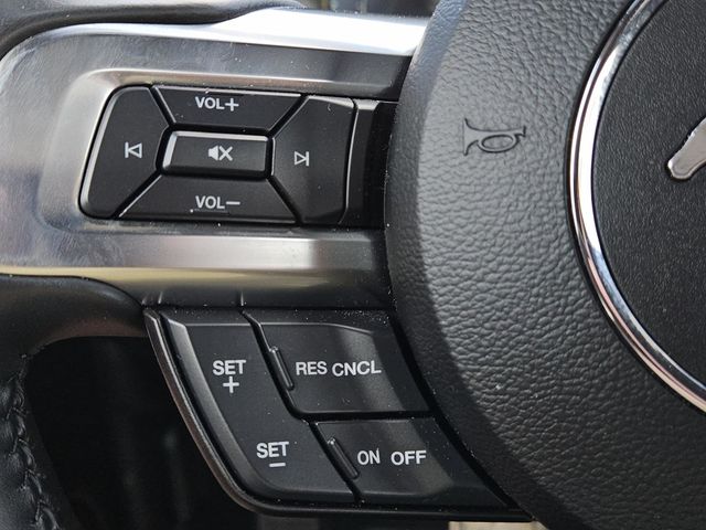 2021 Ford Mustang Mach 1 photo 18