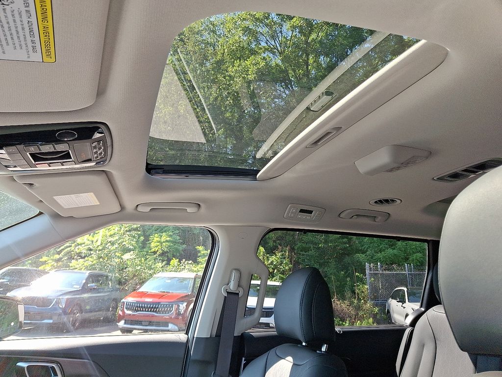 2026 Kia Carnival SX photo 10