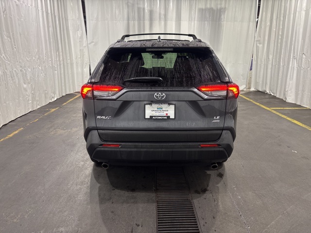 2019 Toyota RAV4 LE photo 3