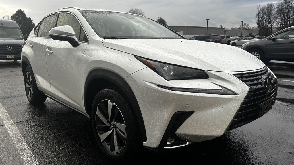 2019 Lexus NX Hybrid 300h's photo