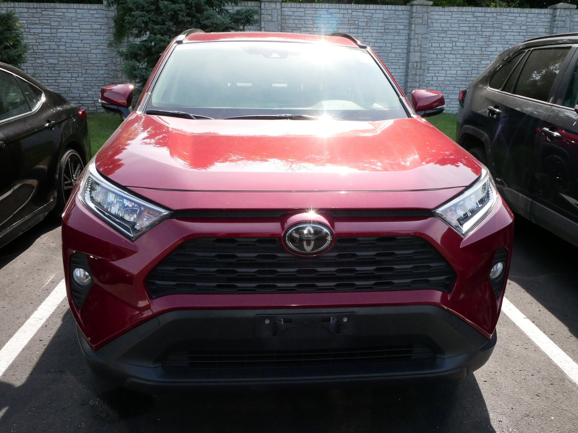 Used 2019 Toyota RAV4 XLE with VIN JTMP1RFV4KD523374 for sale in Brooklyn Center, Minnesota