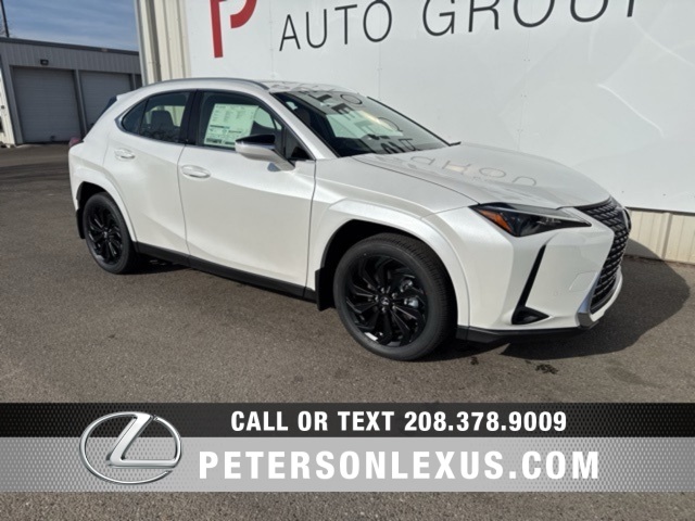 2025 Lexus UX Hybrid 300h Premium