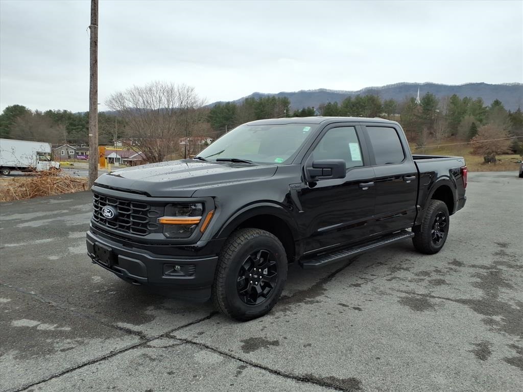 2025 Ford F-150 STX's photo