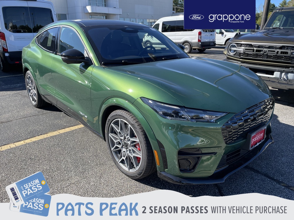 2025 Ford Mustang Mach-E GT AWD's photo