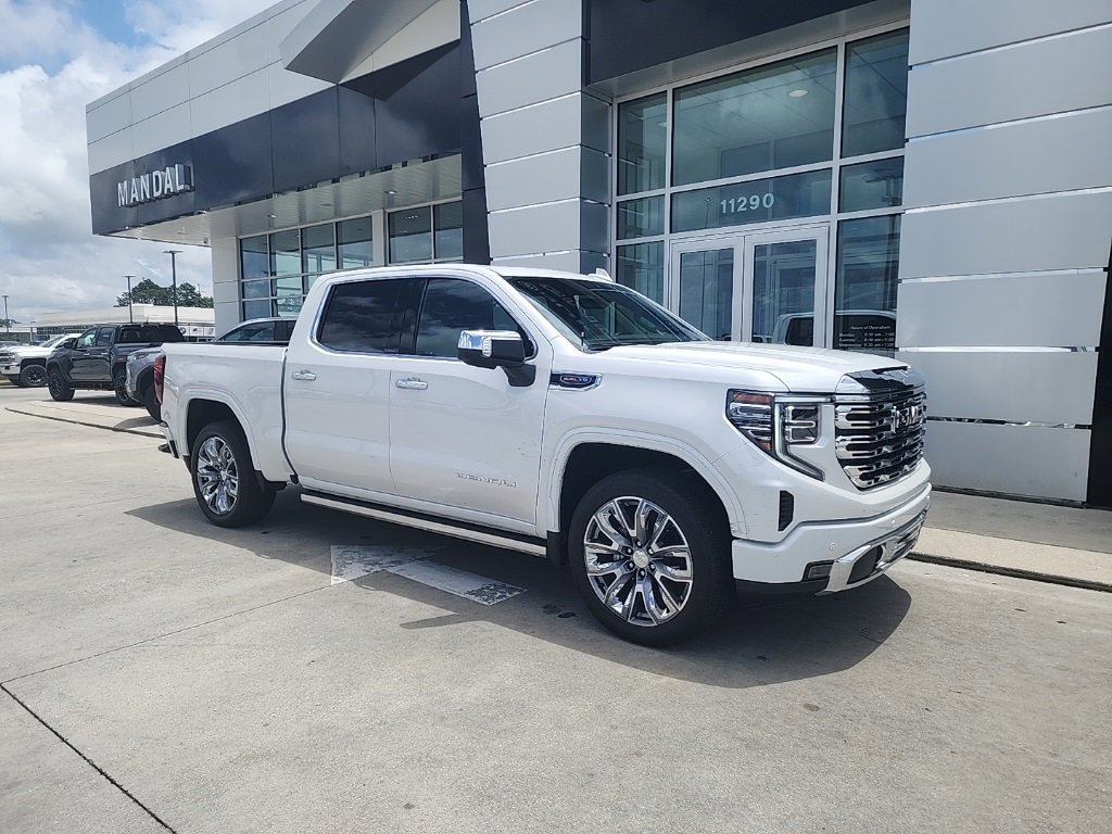 2024 Gmc Sierra 1500 Denali photo 2