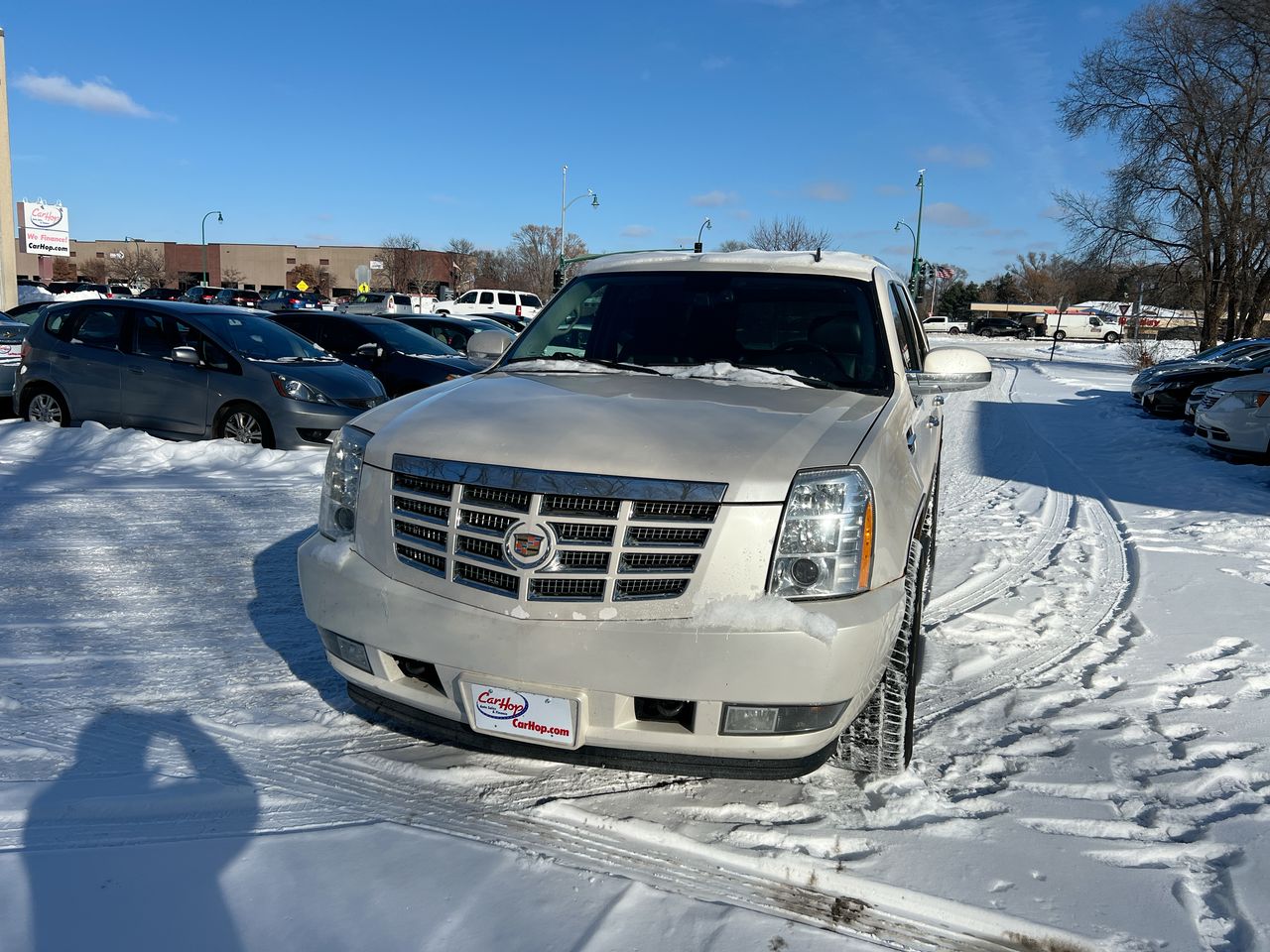 2010 Cadillac Escalade Luxury's photo