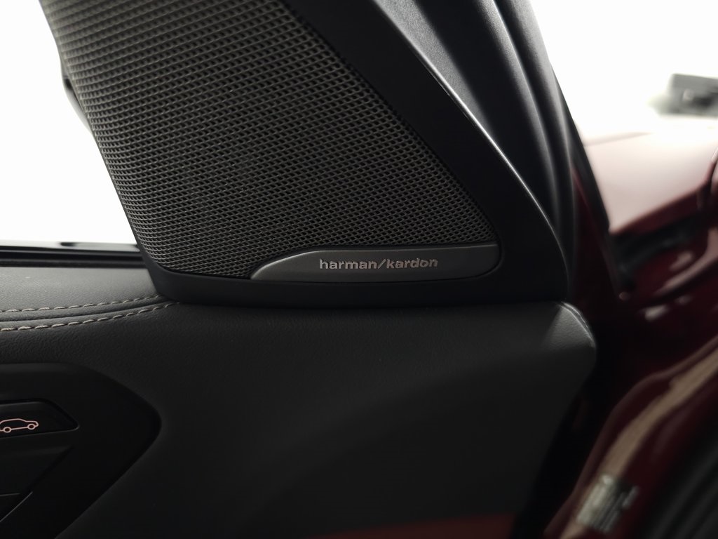 2025 BMW X6 - Image 16