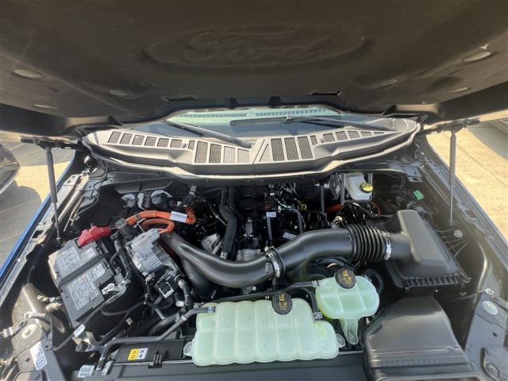 2025 Ford F-150 XLT photo 8