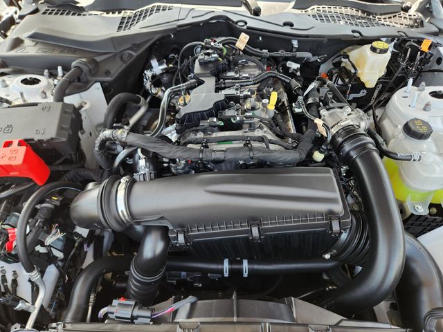 2025 Ford Mustang EcoBoost photo 29