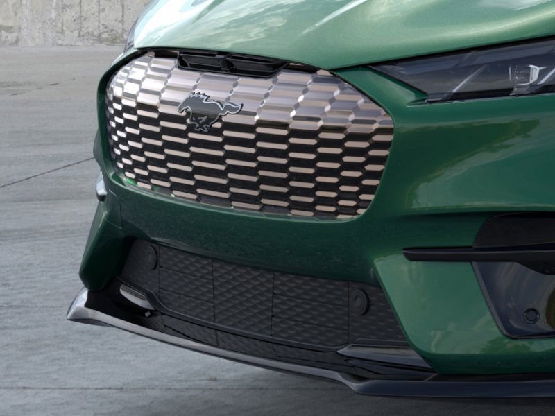 2025 Ford Mustang Mach-E GT photo 9