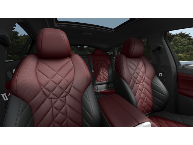 2026 Bmw X6 xDrive40i photo 11
