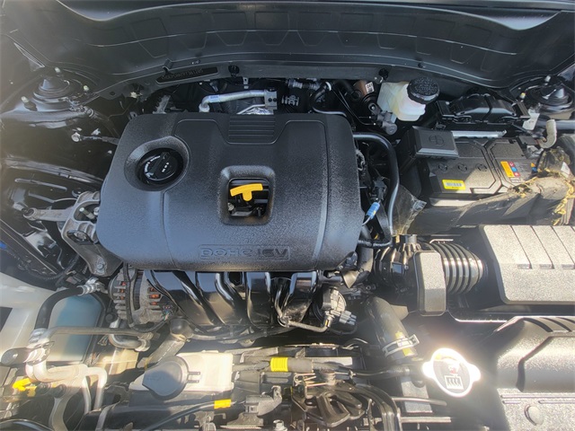 2023 Kia Seltos LX photo 34
