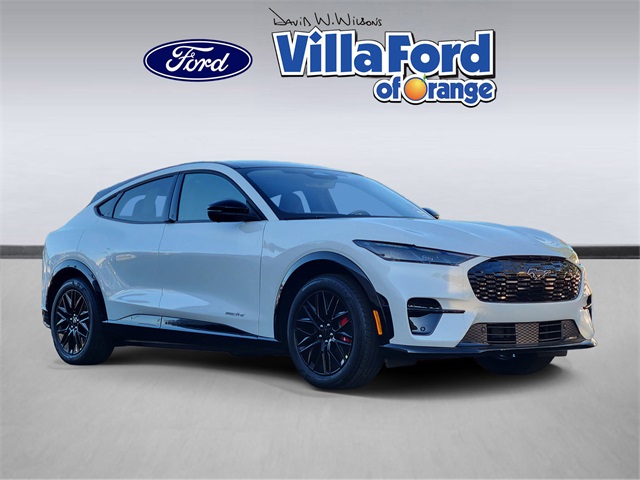 2025 Ford Mustang Mach-E Premium RWD's photo