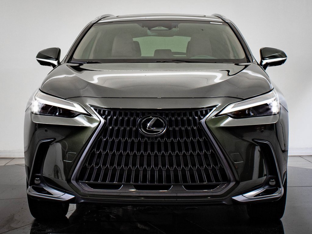 2025 Lexus NX 350h Premium photo 2