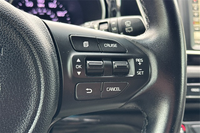 2015 Kia Sedona SX photo 30