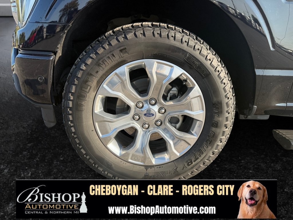 2021 Ford F-150 Platinum photo 15