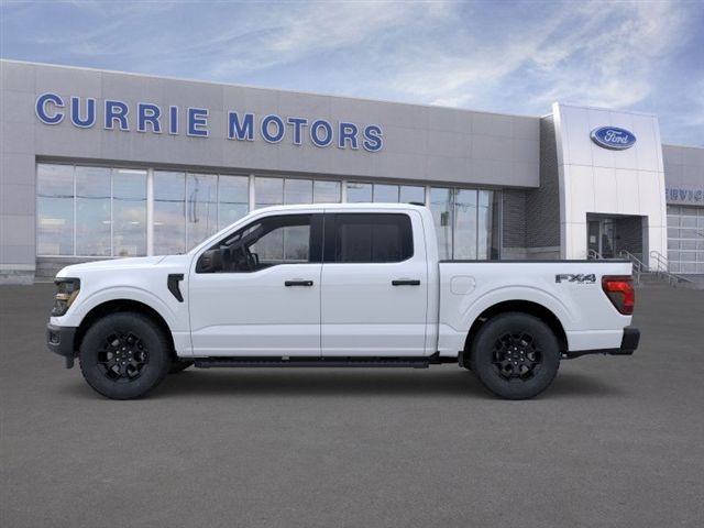2025 Ford F-150 STX photo 3