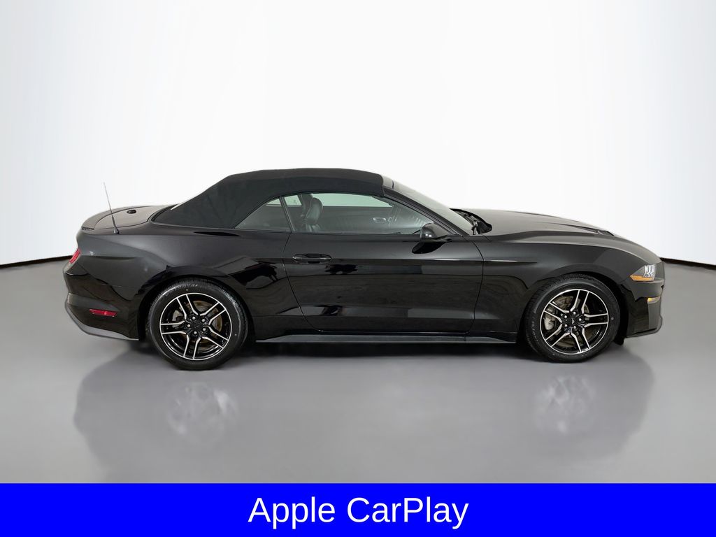 2023 Ford Mustang EcoBoost Premium photo 8