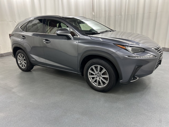 2021 Lexus NX Hybrid 300h's photo