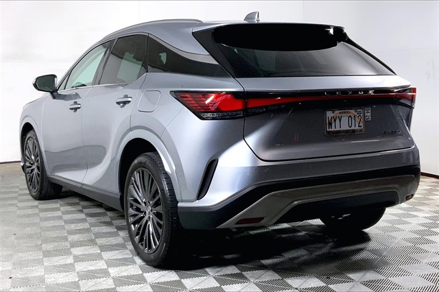 2023 Lexus RX 350 Luxury photo 3