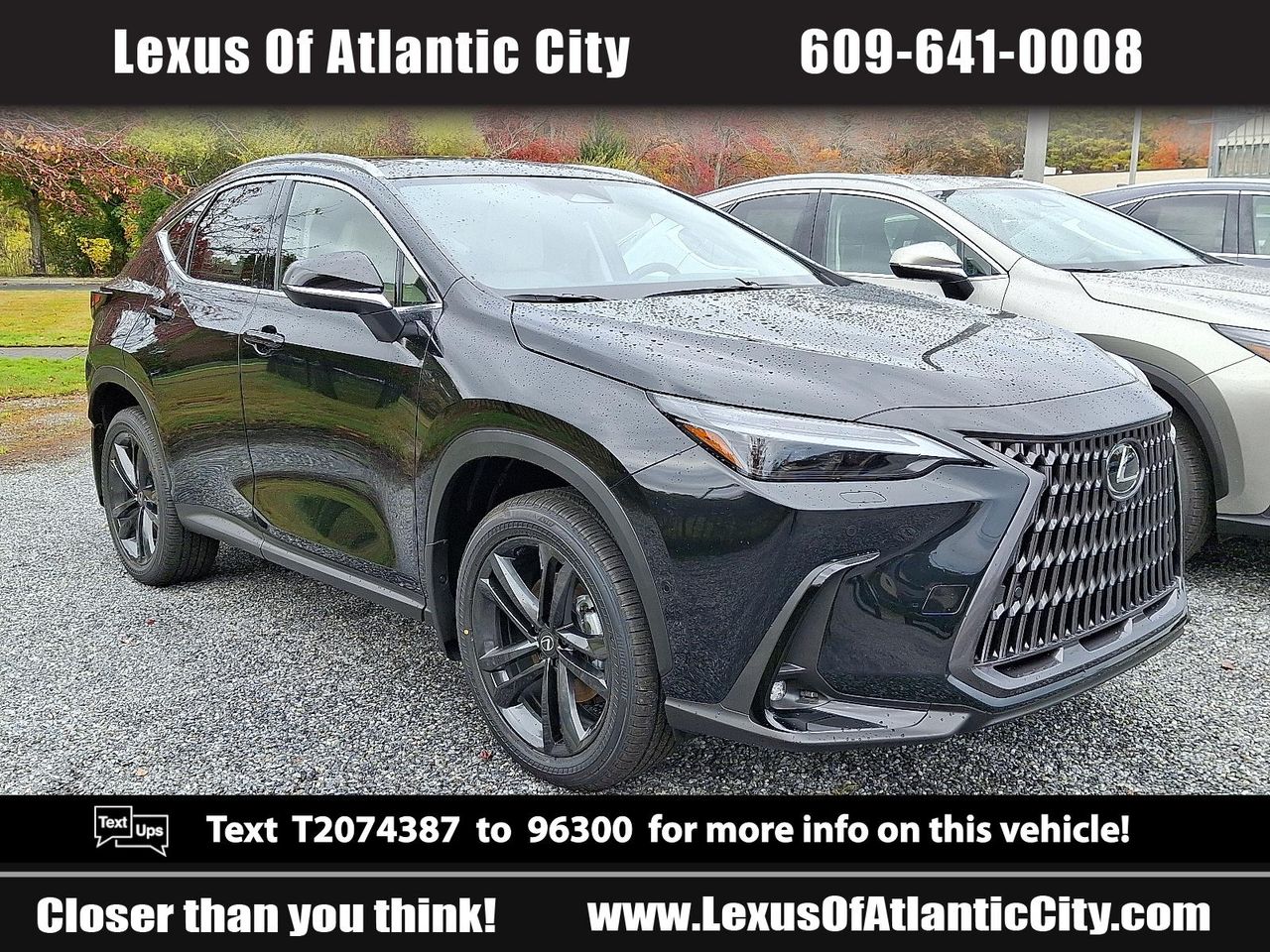 2026 Lexus NX PHEV 450h+'s photo