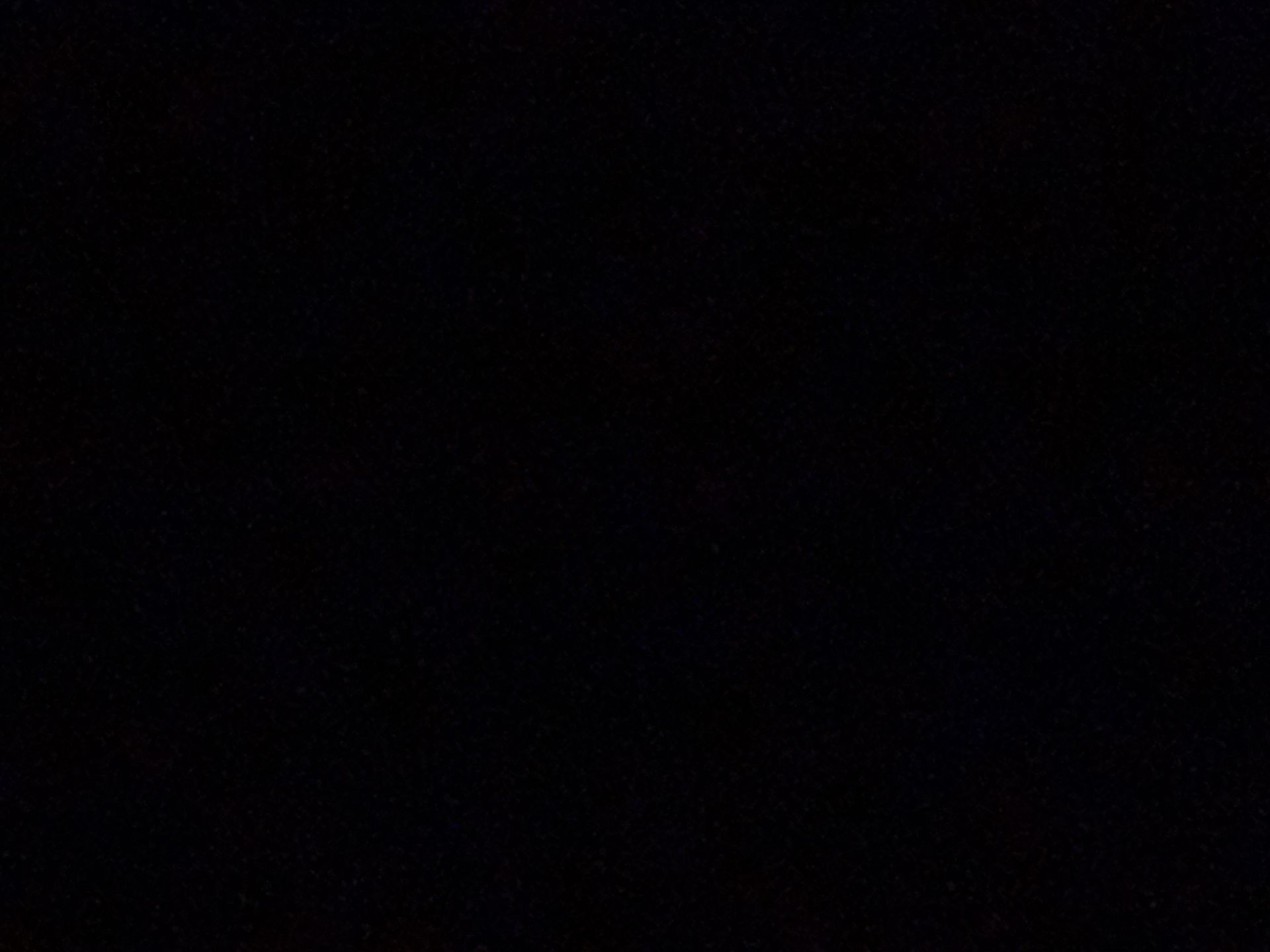 View 61