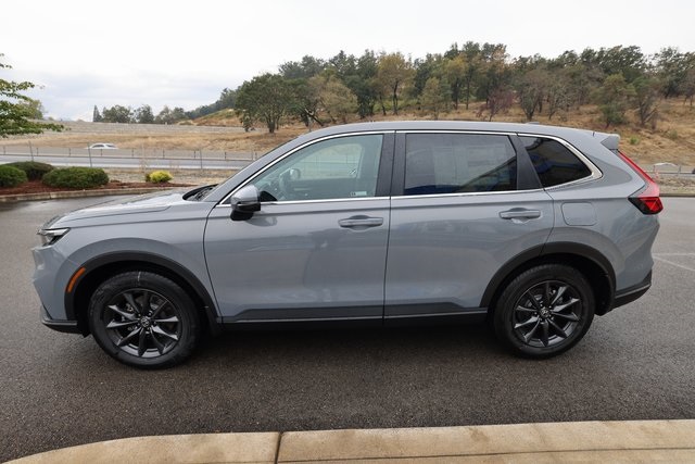 2026 Honda CR-V EX-L photo 6
